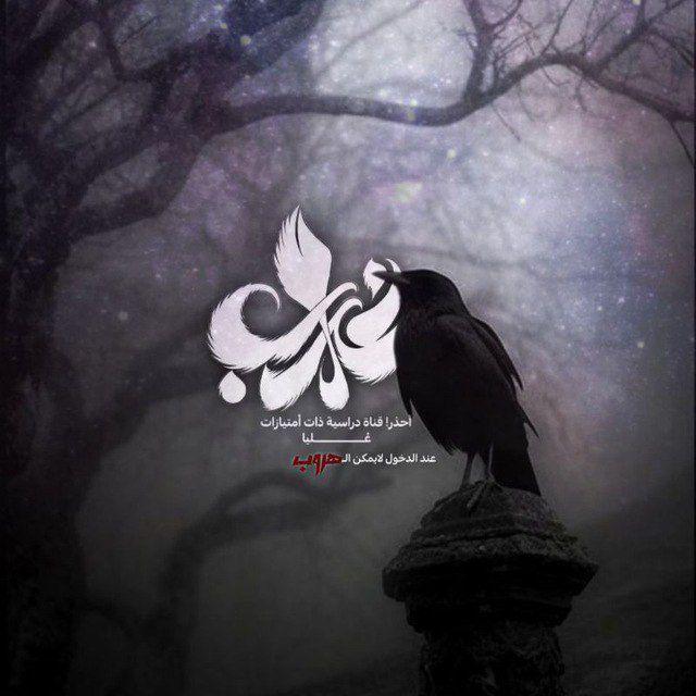 الغراب | crow
