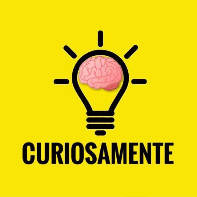 💡CURIOSAMENTE🧠