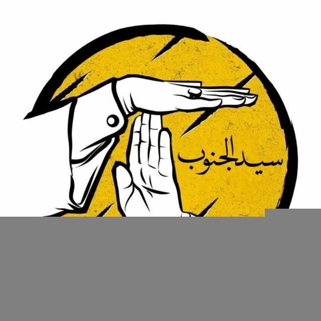 فريق سيد الجنوب التطوعي