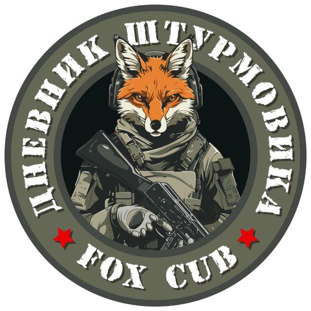 Дневник штурмовика
