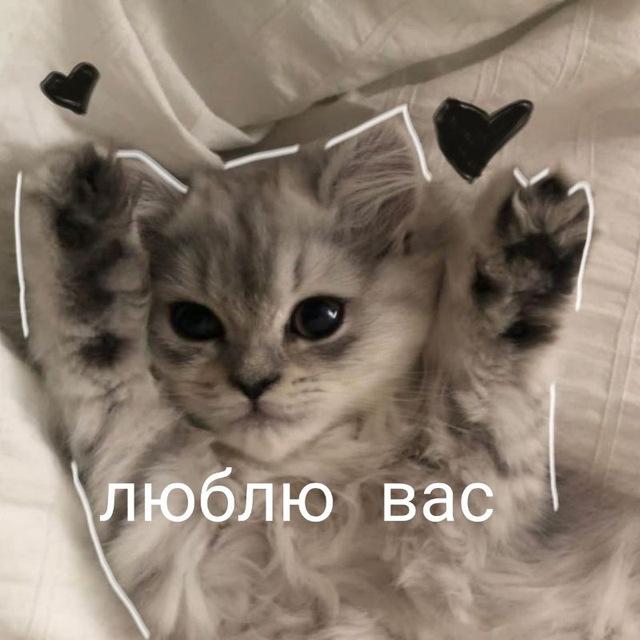 💗