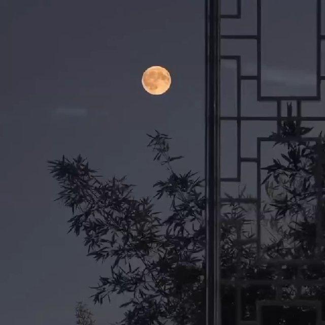 مآهِ‌تاریک🕊