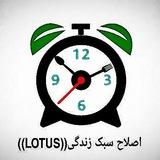 🌻اصلاح سبک لوتوس🌻