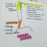 GITImagingPracticeQuizesMZeba