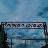 МАУ ДЗОЛ "Лесная Сказка"