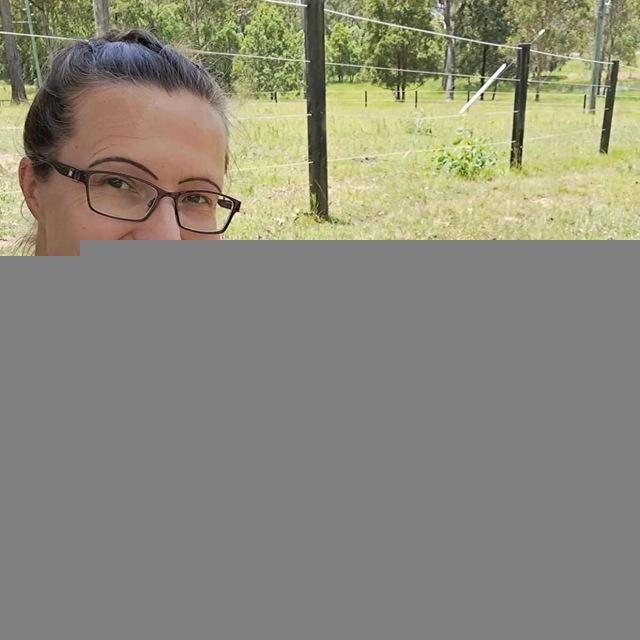 Mini donkeys available for sale