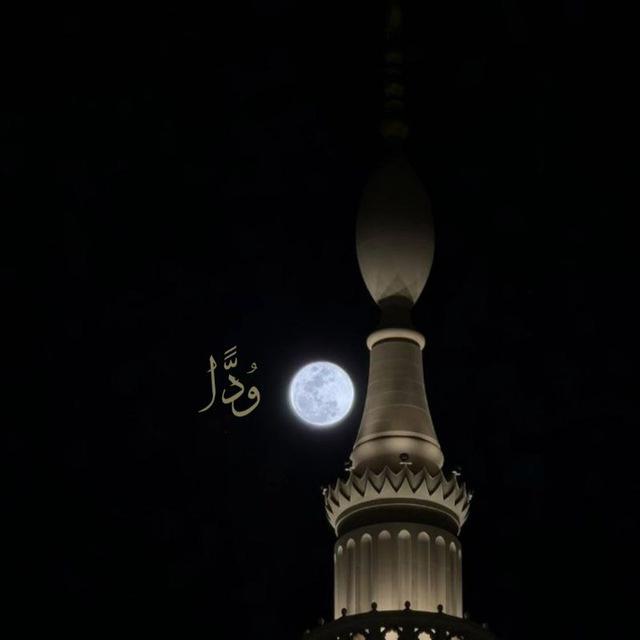 وُدًّا°||تلاوات