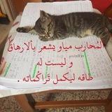 قدرات ثانوي 💞 .