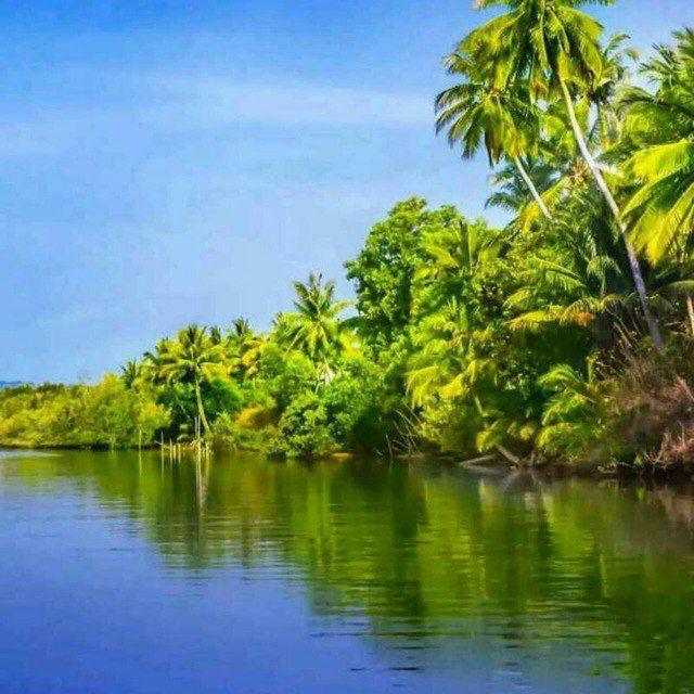 🌈 Tamil Nature Video & Song🍀