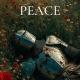 PEACE ¹