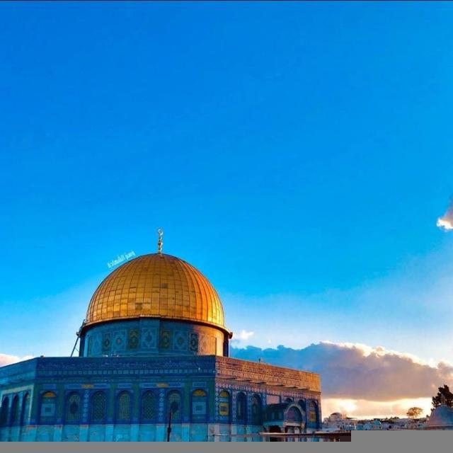 خواطر موحد ᥫ᭡ | غزة .