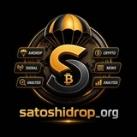 درآمد دلاری | SATOSHI