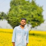 🌼 সবুজ প্রকৃতি 🌼