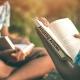Amazing Articles