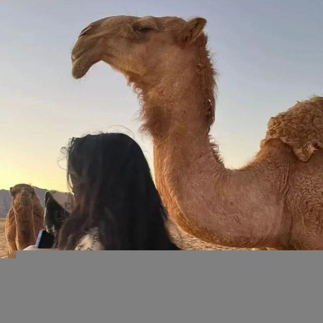 غــزَلَآنٌ🤍🦌.