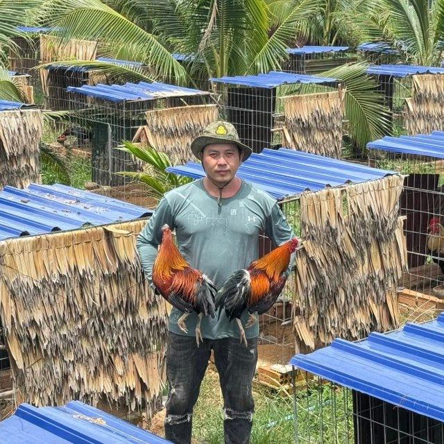 បក្សីជាយដែន បងណែត 🐔🥇🏆