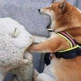 日记