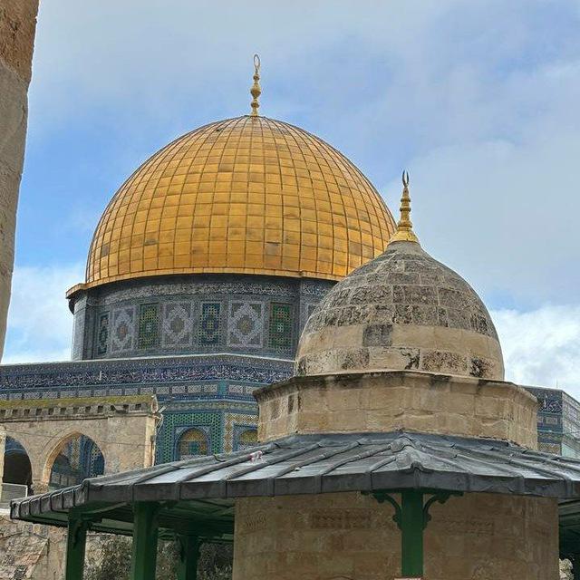 مَـلَك |🪻