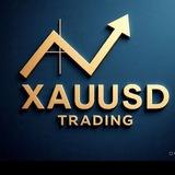 Gold Trading Insights