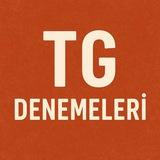 Türkiye Geneli Denemeler PDF | CA