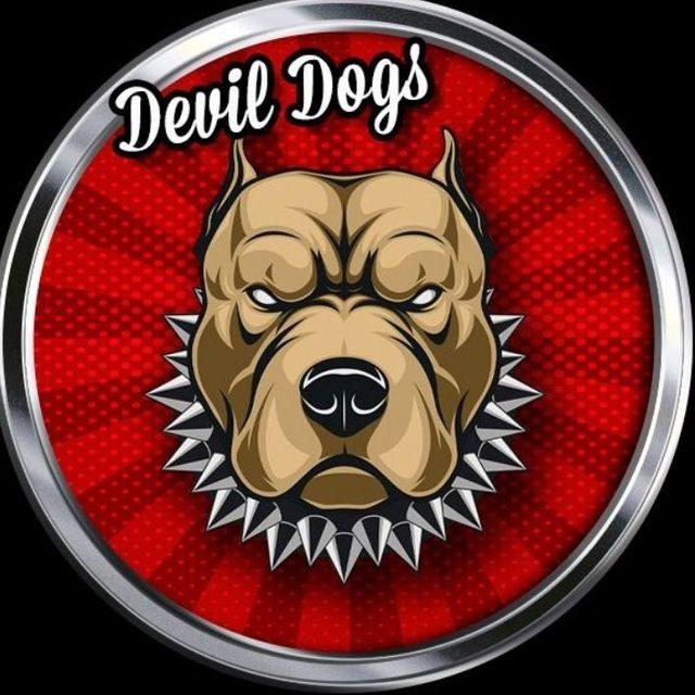 Guida Iphone Devil Dogs
