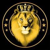 Lion23