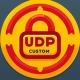 UDP CONFIGS and SERVERS