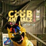 Club Animalz Bark [Announcements]