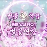 🌸 벚꽃 대총 인증업자 🌸