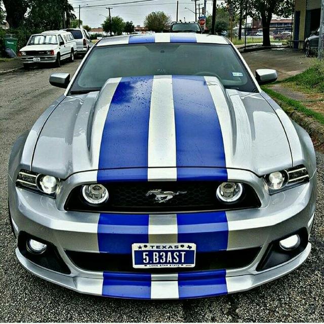 Ford Mustang(SHELBY)