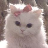 Catherine
