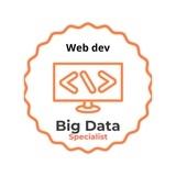 Web development