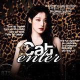 Cat entertainment 🐾