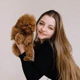 MALTIPOVSKA PUPPIES