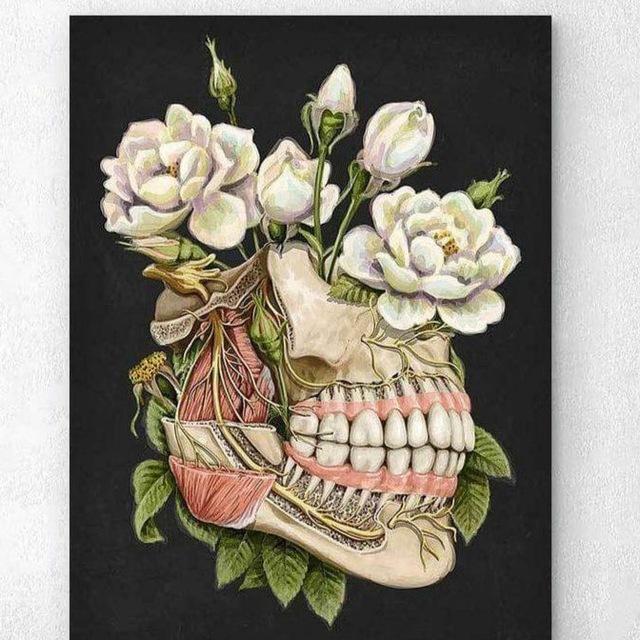 مهمات طب اسنان صفوة