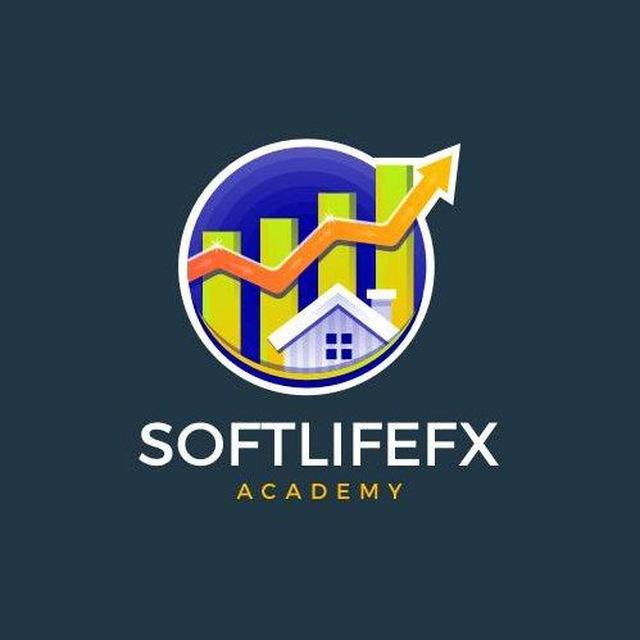 SOFTLIFEFX ACADEMY
