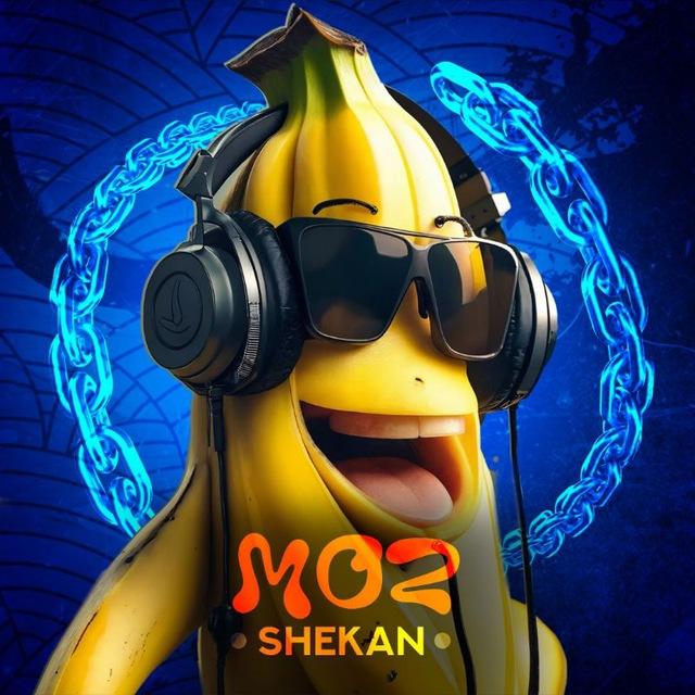موز شکن | Moz Vpn
