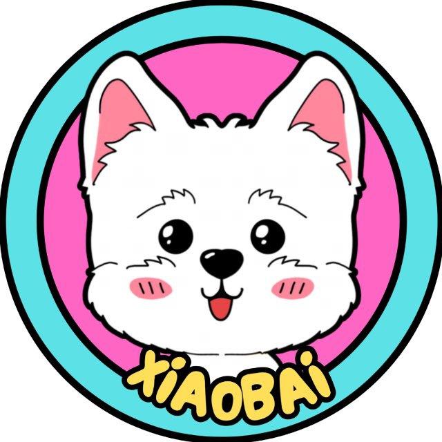 XIAOBAI CTO - Portal