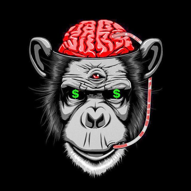 Bet MINDS🧠
