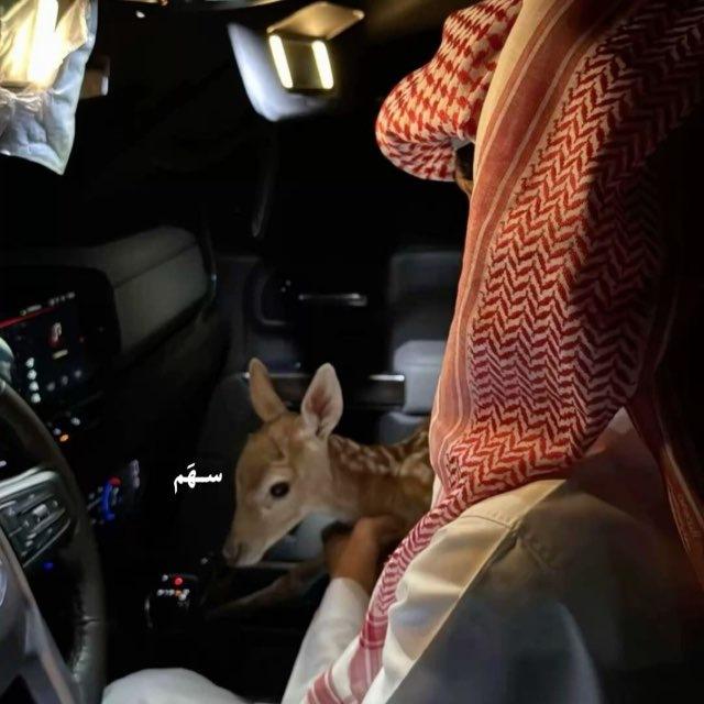 فـذّ