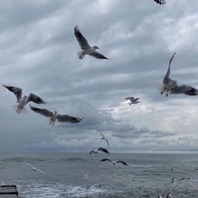 شعر و أدب عربی