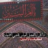 يا أم البنين (عليها السلام)