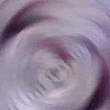 ثانويه سامراء للمتفوقات