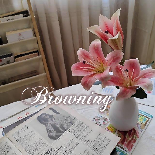 ₊⊹ browning 𝜗𝜚