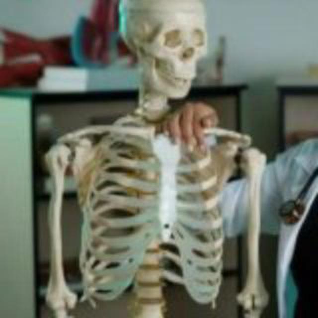 MBBS All BOOKS NOTES