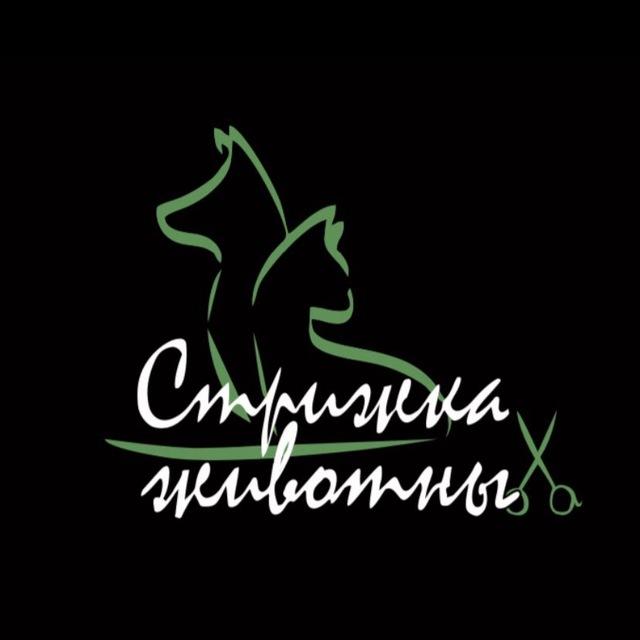 Стрижка собак Нижний Новгород
