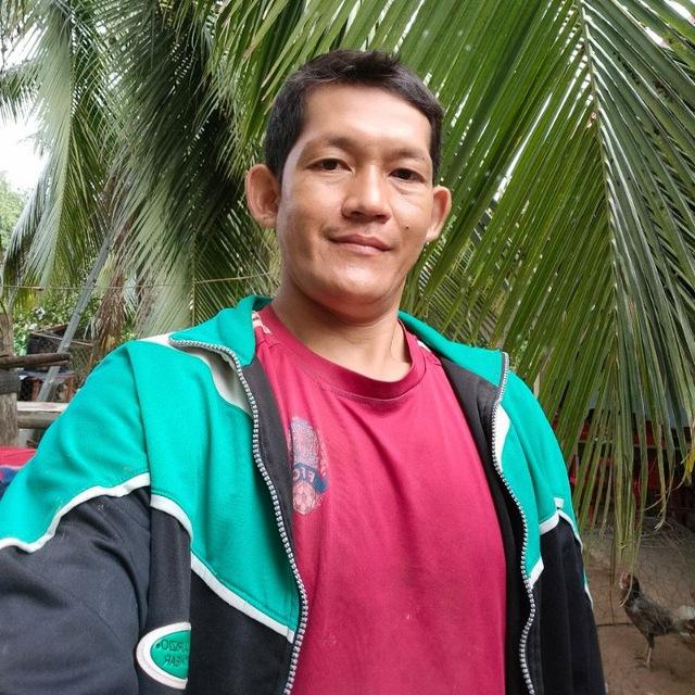 គ្រូ សីហា បក្សីចម្បាំស្រុកបវេល
