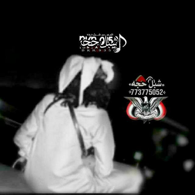 المصمم شبل حجه