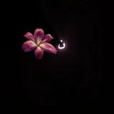 ن