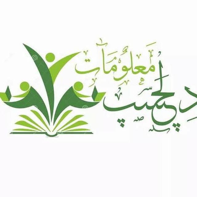 دلچسپ اور عجیب معلومات چینل